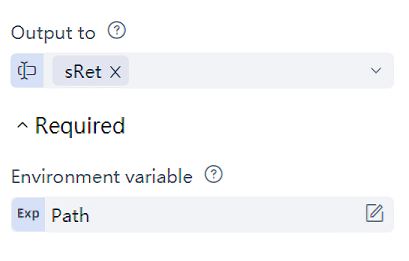 Read environment variables